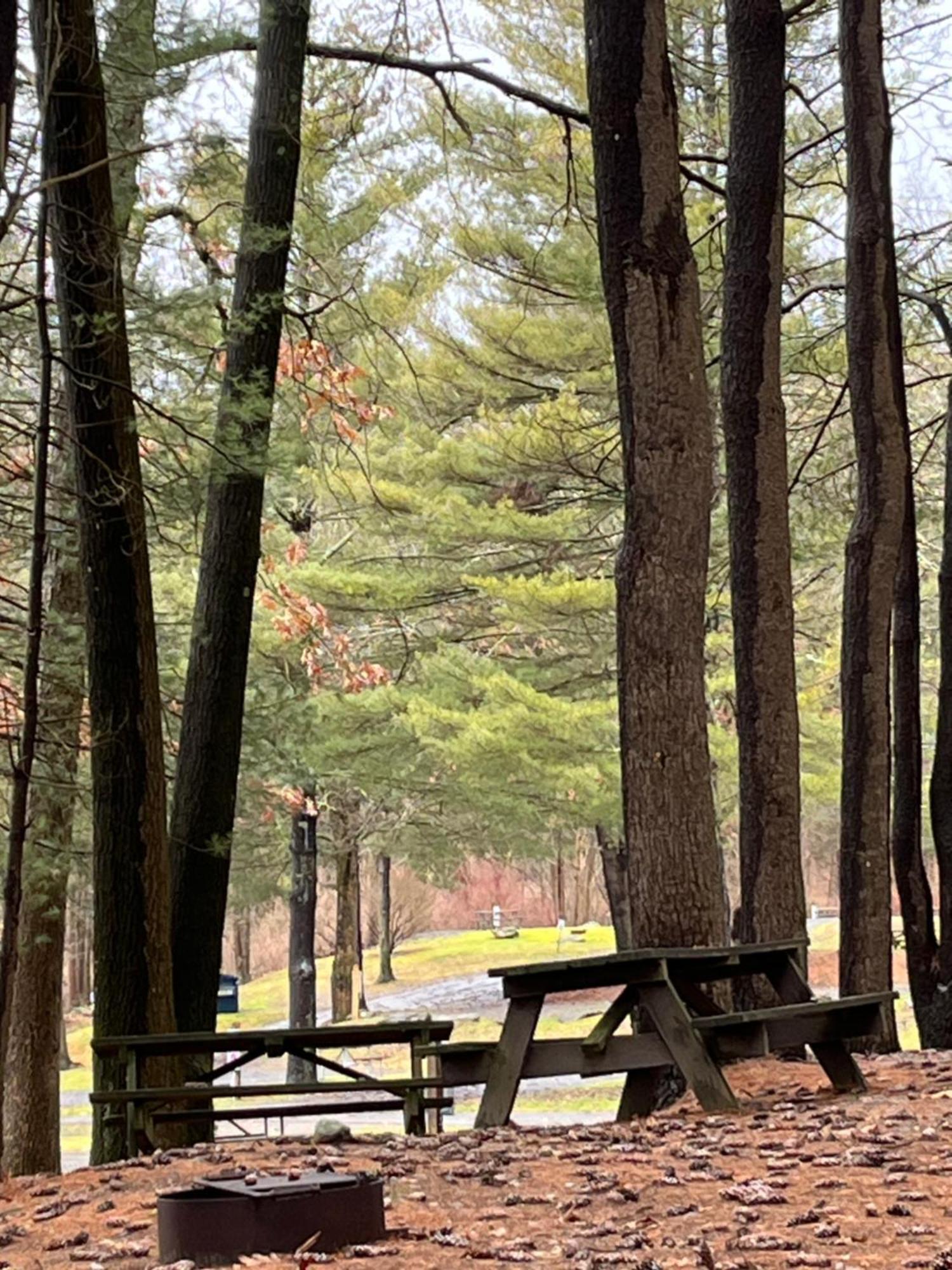Interlake Rv Park & Campground Rhinebeck Kültér fotó